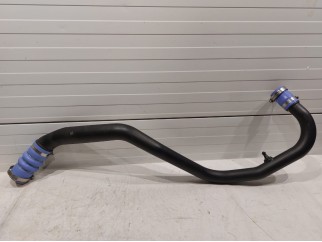 Lower Hose 